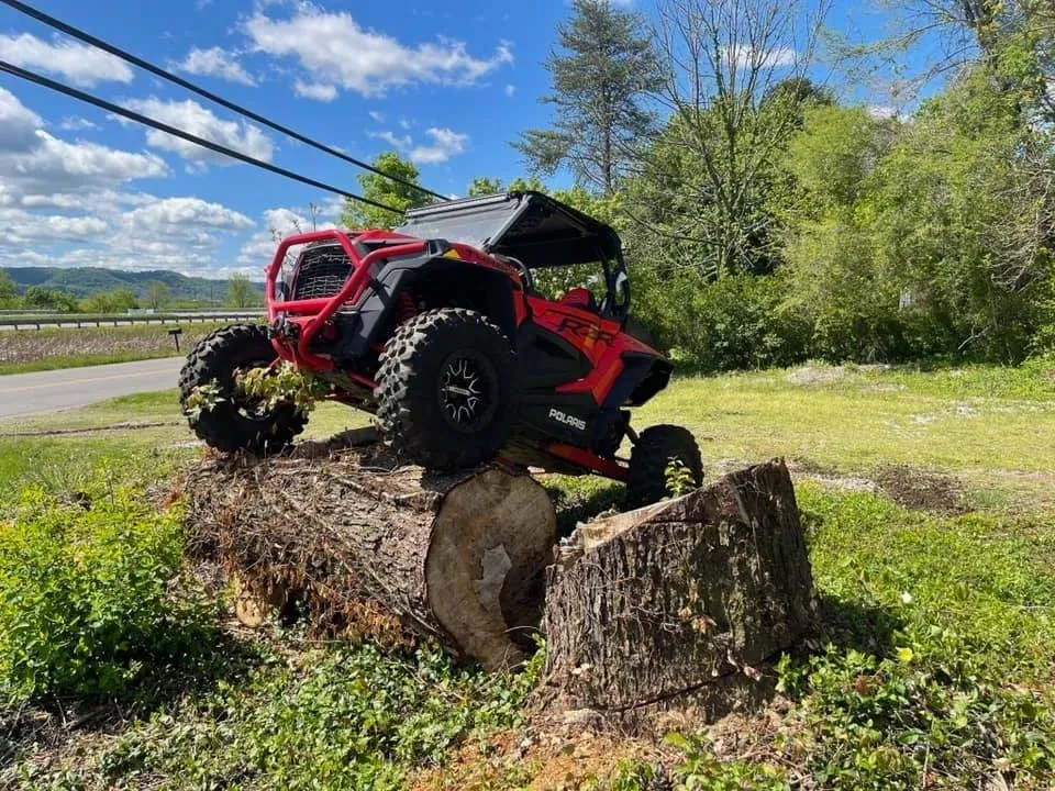 red ATV on tree logs